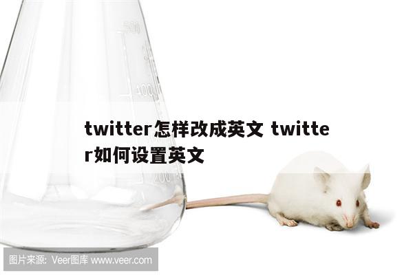 twitter怎样改成英文 twitter如何设置英文