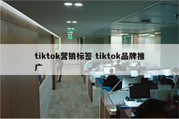 tiktok营销标签 tiktok品牌推广
