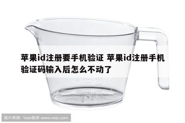 苹果id注册要手机验证 苹果id注册手机验证码输入后怎么不动了