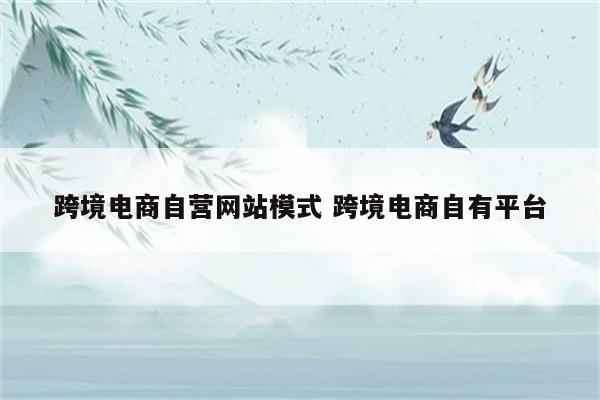 跨境电商自营网站模式 跨境电商自有平台