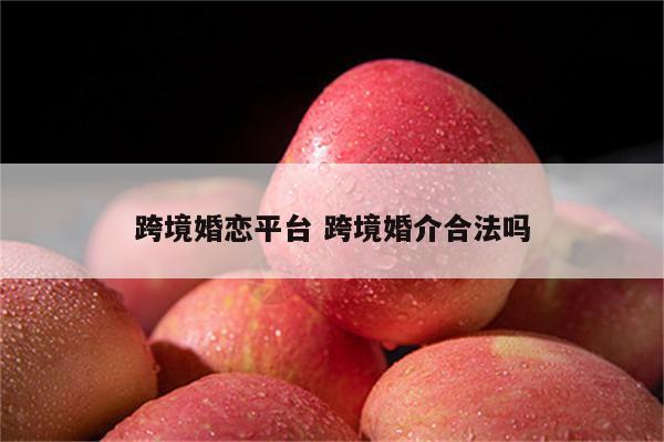 跨境婚恋平台 跨境婚介合法吗