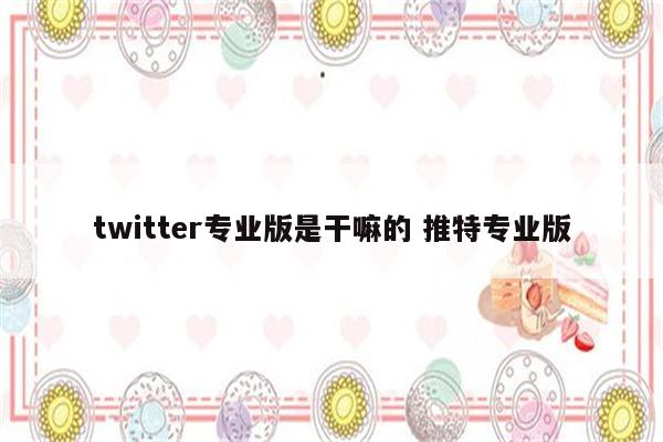 twitter专业版是干嘛的 推特专业版