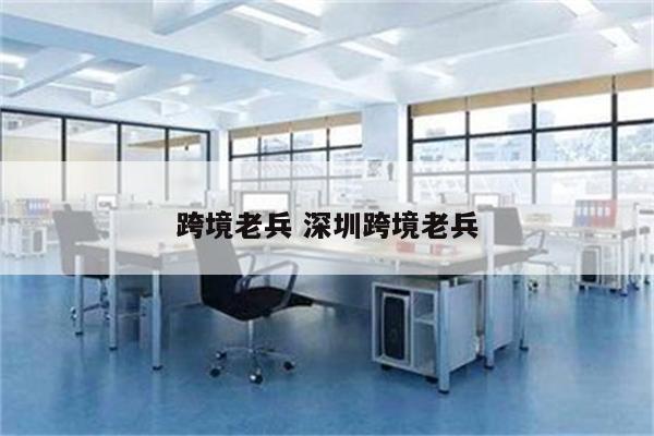 跨境老兵 深圳跨境老兵
