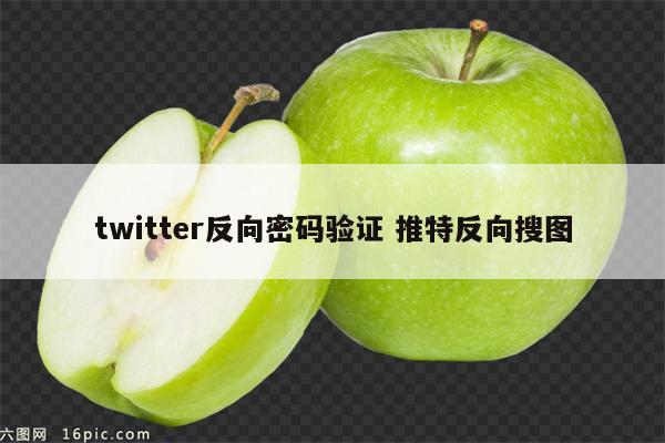 twitter反向密码验证 推特反向搜图