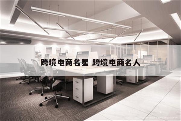 跨境电商名星 跨境电商名人