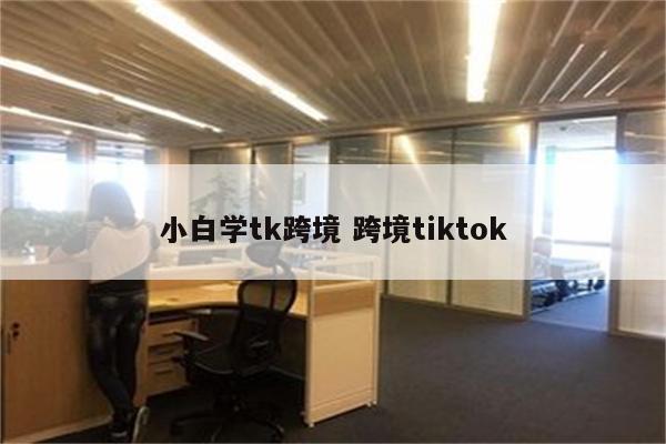 小白学tk跨境 跨境tiktok