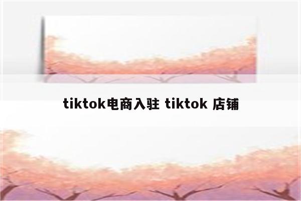 tiktok电商入驻 tiktok 店铺