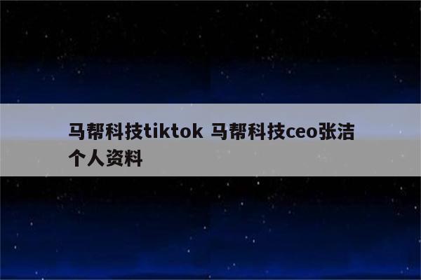 马帮科技tiktok 马帮科技ceo张洁个人资料