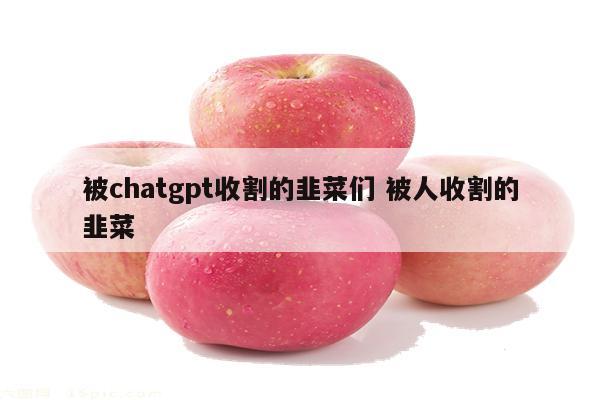 被chatgpt收割的韭菜们 被人收割的韭菜