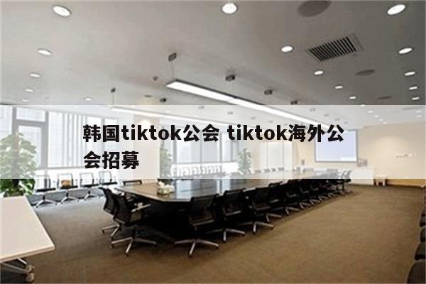 韩国tiktok公会 tiktok海外公会招募