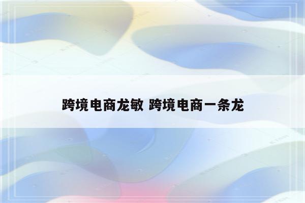 跨境电商龙敏 跨境电商一条龙