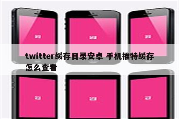 twitter缓存目录安卓 手机推特缓存怎么查看
