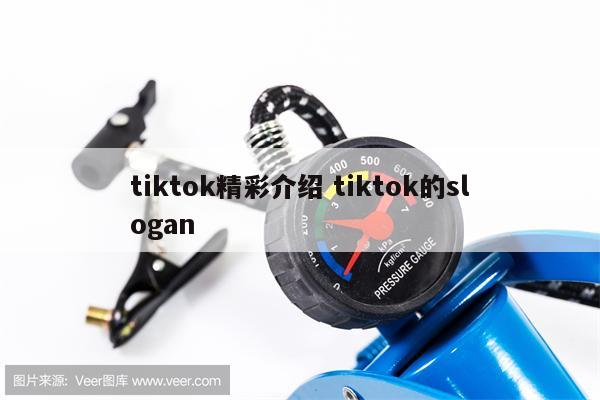 tiktok精彩介绍 tiktok的slogan