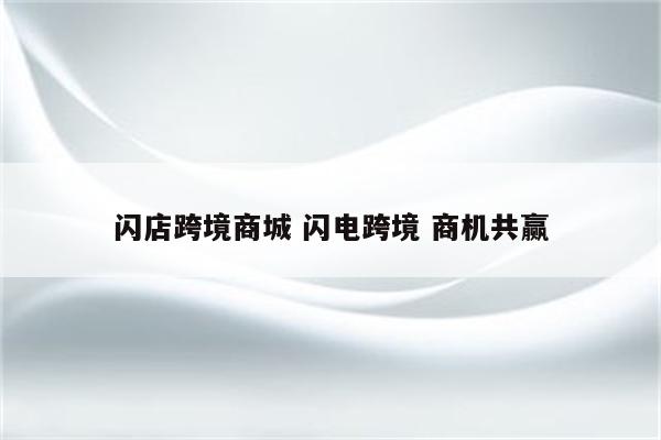 闪店跨境商城 闪电跨境 商机共赢