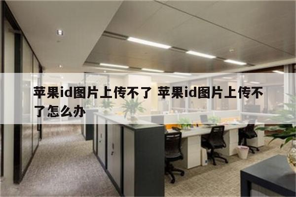 苹果id图片上传不了 苹果id图片上传不了怎么办
