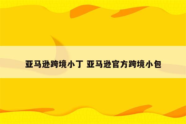 亚马逊跨境小丁 亚马逊官方跨境小包