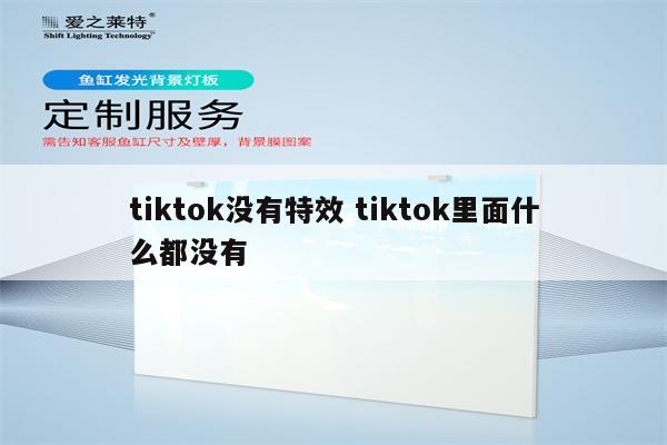 tiktok没有特效 tiktok里面什么都没有