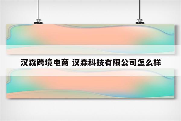 汉森跨境电商 汉森科技有限公司怎么样