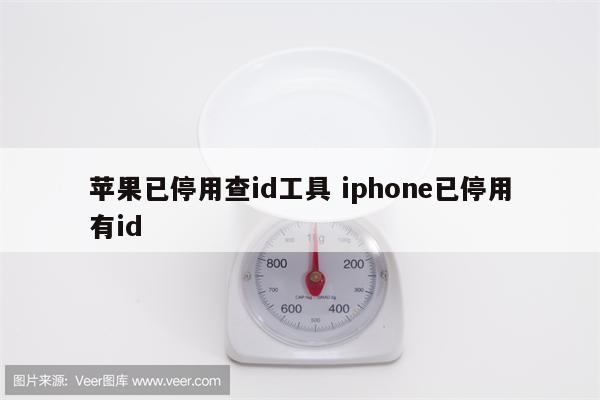 苹果已停用查id工具 iphone已停用有id
