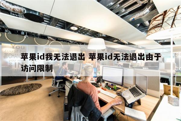 苹果id我无法退出 苹果id无法退出由于访问限制