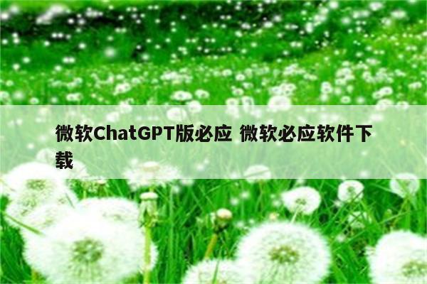 微软ChatGPT版必应 微软必应软件下载
