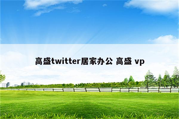 高盛twitter居家办公 高盛 vp