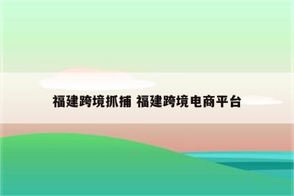 福建跨境抓捕 福建跨境电商平台