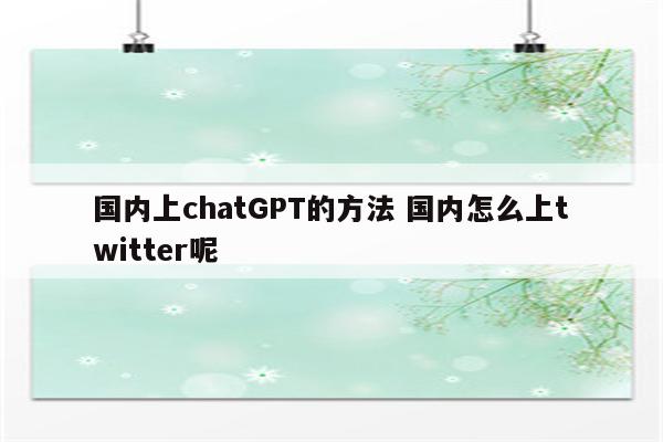 国内上chatGPT的方法 国内怎么上twitter呢
