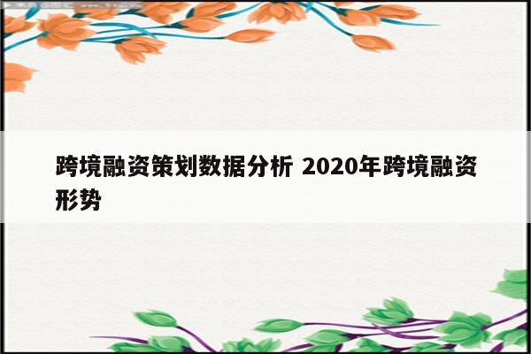 跨境融资策划数据分析 2020年跨境融资形势