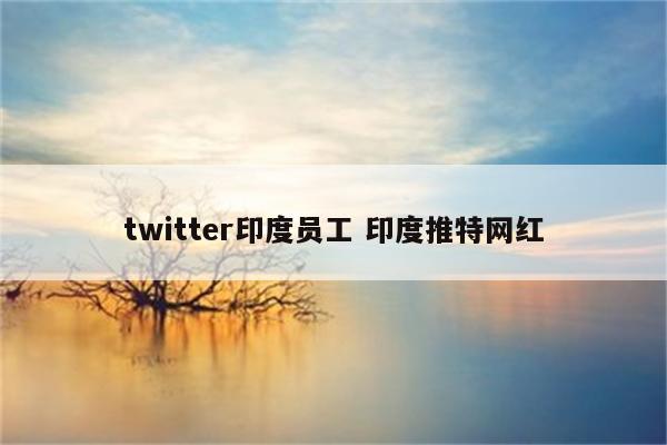 twitter印度员工 印度推特网红