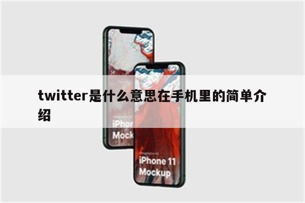 twitter是什么意思在手机里的简单介绍