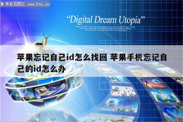 苹果忘记自己id怎么找回 苹果手机忘记自己的id怎么办