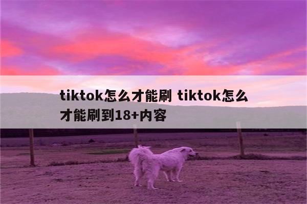 tiktok怎么才能刷 tiktok怎么才能刷到18+内容