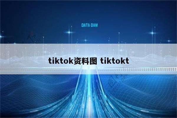 tiktok资料图 tiktokt