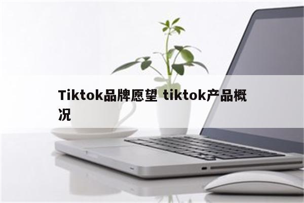 Tiktok品牌愿望 tiktok产品概况