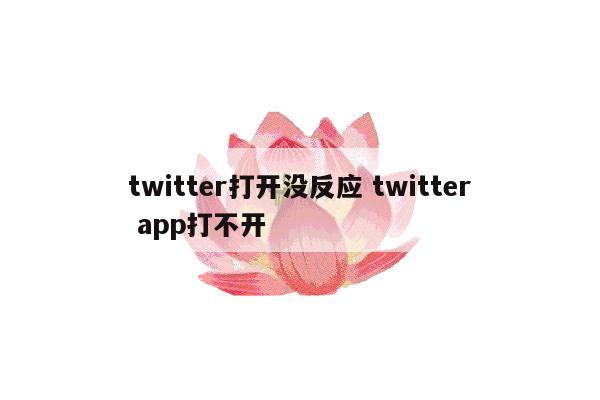 twitter打开没反应 twitter app打不开