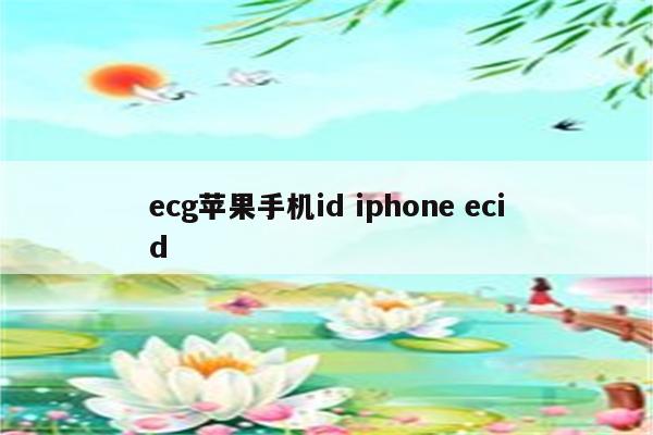 ecg苹果手机id iphone ecid