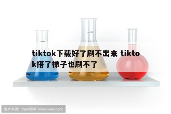 tiktok下载好了刷不出来 tiktok搭了梯子也刷不了