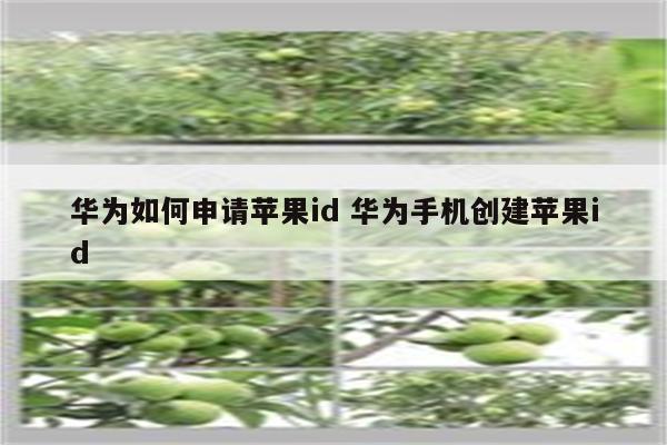 华为如何申请苹果id 华为手机创建苹果id