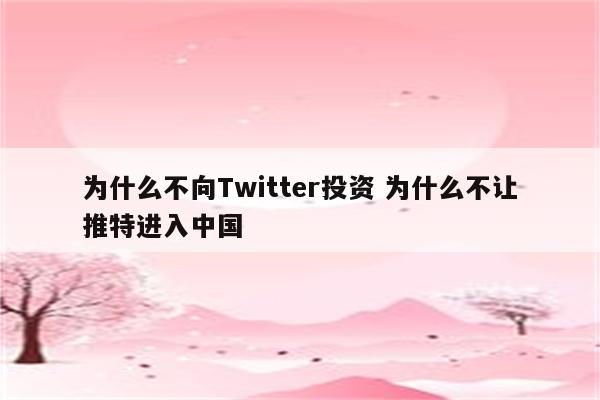 为什么不向Twitter投资 为什么不让推特进入中国