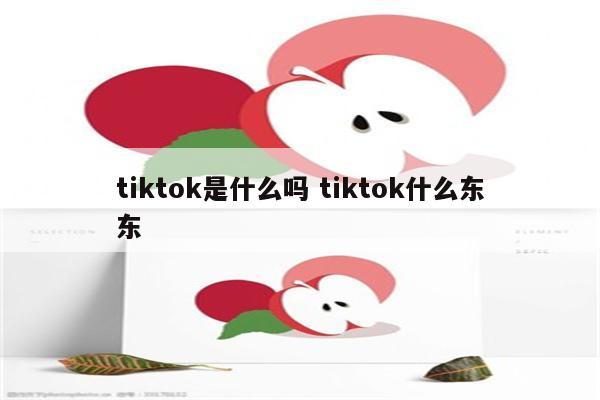 tiktok是什么吗 tiktok什么东东