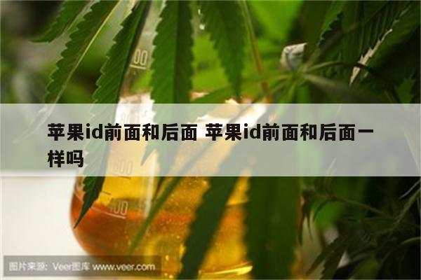 苹果id前面和后面 苹果id前面和后面一样吗