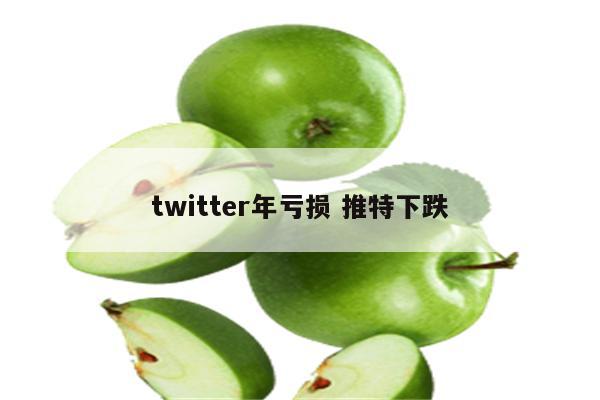 twitter年亏损 推特下跌