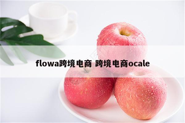 flowa跨境电商 跨境电商ocale