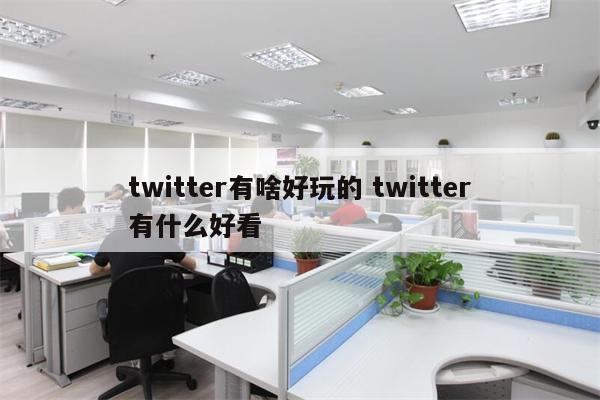 twitter有啥好玩的 twitter有什么好看