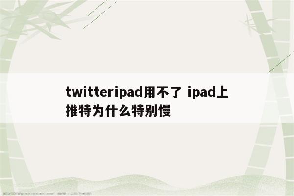 twitteripad用不了 ipad上推特为什么特别慢