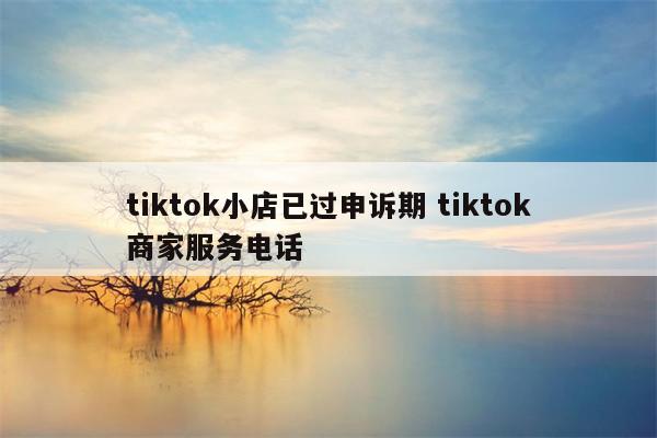 tiktok小店已过申诉期 tiktok商家服务电话