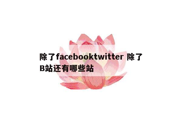 除了facebooktwitter 除了B站还有哪些站