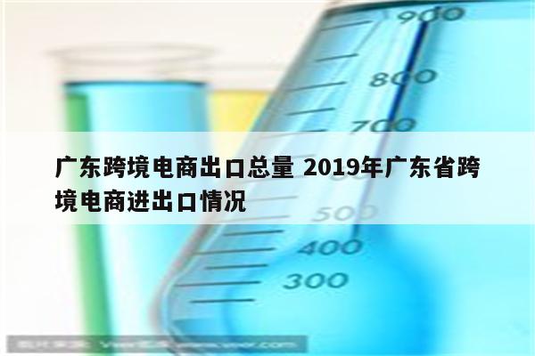 广东跨境电商出口总量 2019年广东省跨境电商进出口情况