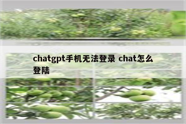 chatgpt手机无法登录 chat怎么登陆